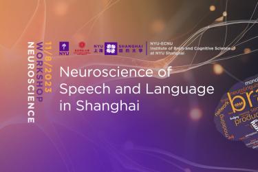 Neuroscience of speech and language in Shanghai
