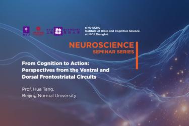 From Cognition to Action: Perspectives from the Ventral and Dorsal Frontostriatal Circuits