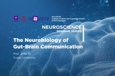 The Neurobiology of Gut-Brain Communication