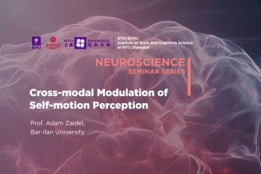 Cross-modal modulation of self-motion perception