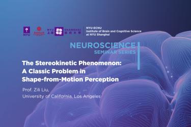 The Stereokinetic Phenomenon: A Classic Problem in Shape-from-Motion Perception