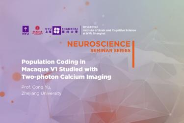 Population coding in macaque V1 studied with two-photon calcium imaging