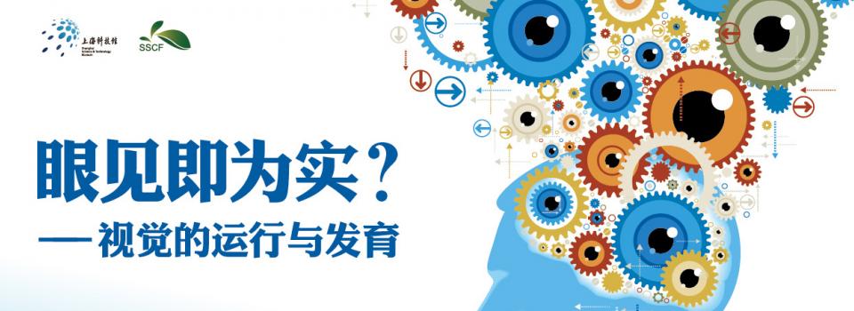 How Brain Works and How It Develops