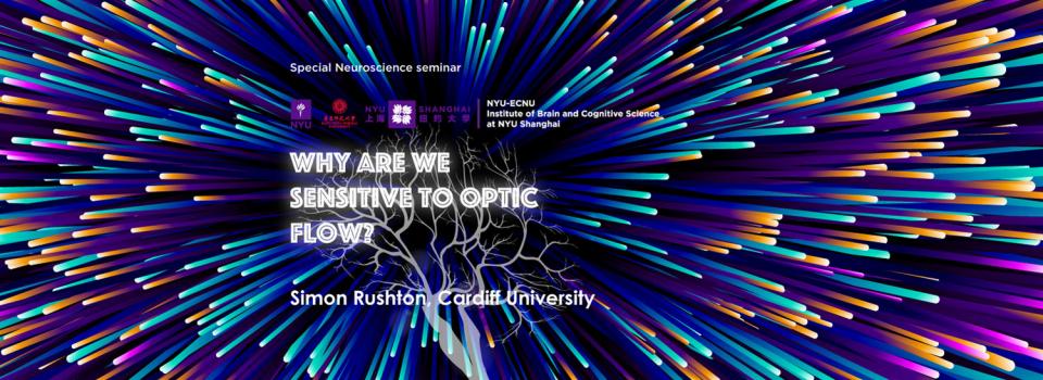 Why are we Sensitive to Optic Flow?  