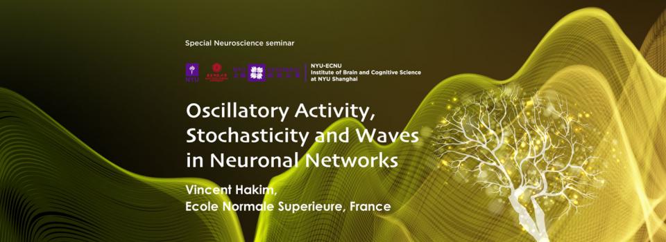 Oscillatory Activity, Stochasticity and Waves in Neuronal Networks