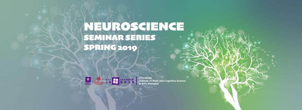 Neuroscience Seminar Series Spring 2019