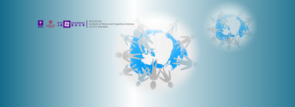 New Study Finds How We Perceive Interactions in Social Groups