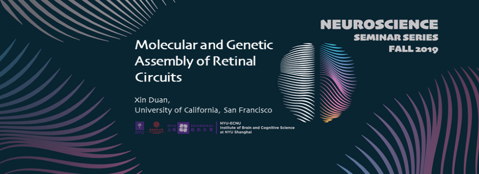 Molecular and Genetic Assembly of Retinal Circuits