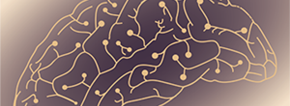 Seminar - Mark Buckley: Essential Contributions of Frontopolar Cortex to Primate Cognition