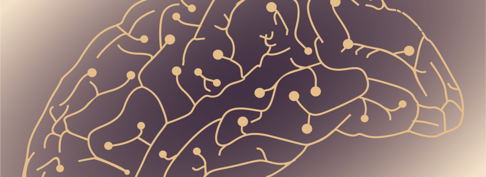 Combinatorial Genetic Targeting of Neuron Subtypes in the Mouse Brain