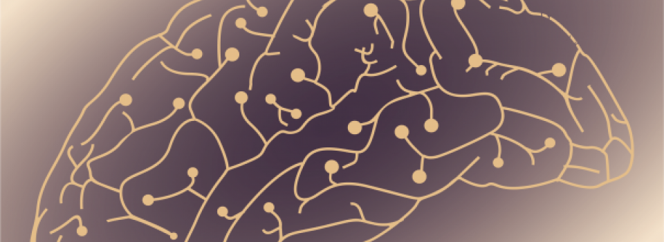 Seminar - Sze Chai Kwok: Representation of Temporal Similarity in the Human Brain