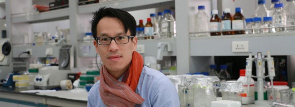 Hippocampal System is Indispensable for Adapting to Changes in Temporal Structure in Memory