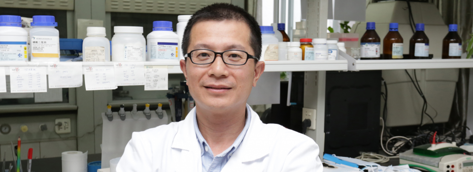 Early Auditory Training Yields Positive Cognitive Results into Older Age