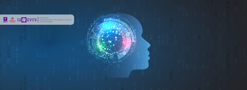 Enhanced Visual Short-term Memory Capacity with Brain Stimulation