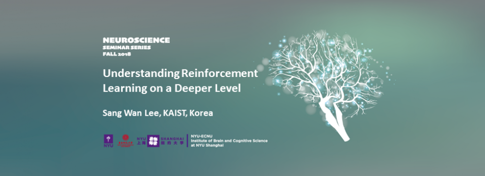 Understanding Reinforcement Learning on a Deeper Level