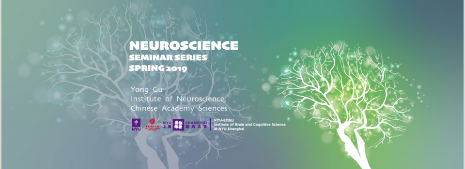 Multisensory Integration and Decision Making for Selfmotion Perception