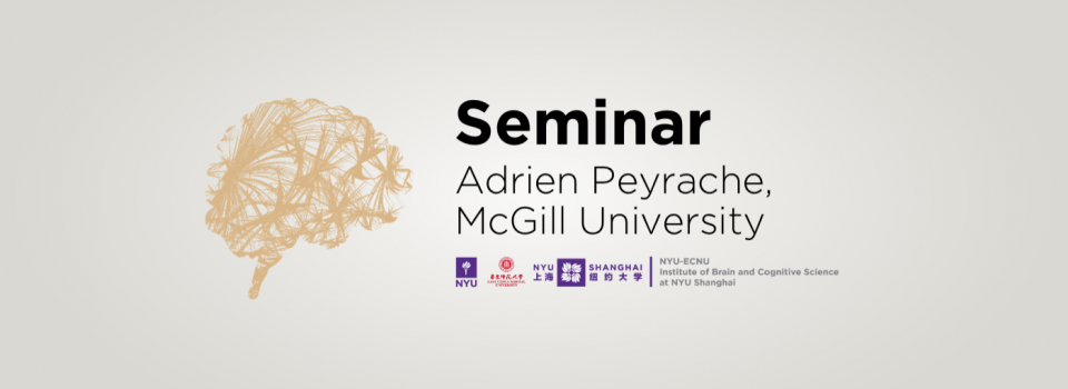 A compass in the brain: neuronal mechanisms of spatial orientation