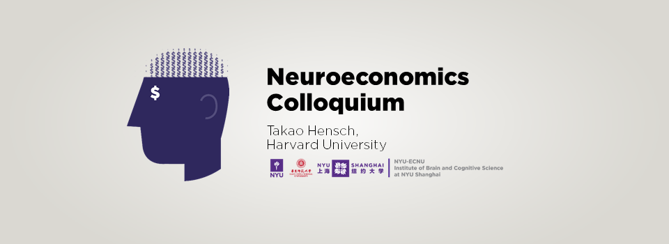 Balancing Brain Plasticity/Stability across the Lifespan