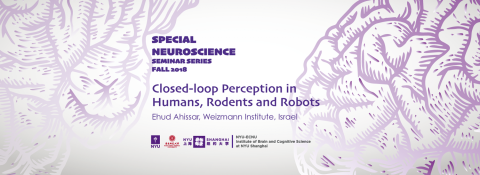 Closed-loop Perception in Humans, Rodents and Robots