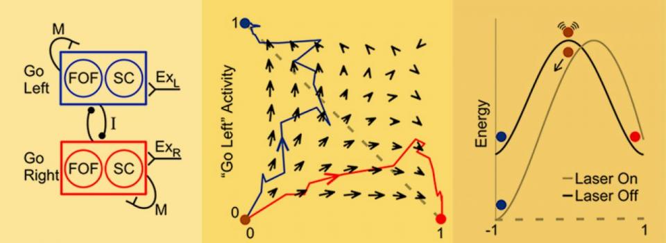 New Evidence for Short Term Memory Theory
