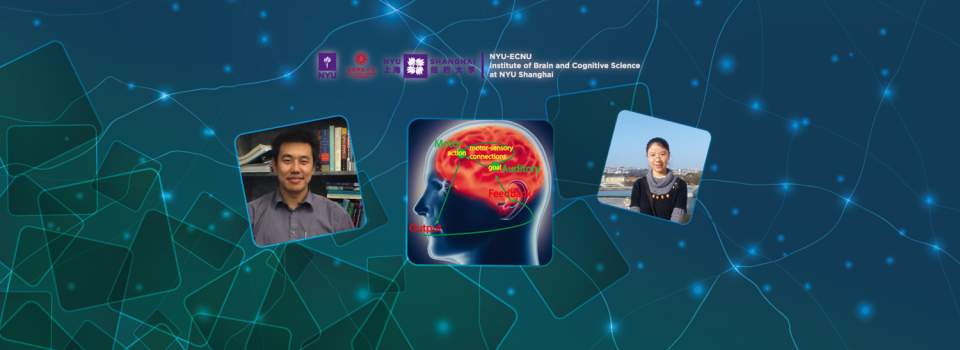 Research Gains Insights into Mechanisms for Second Language Acquisition 