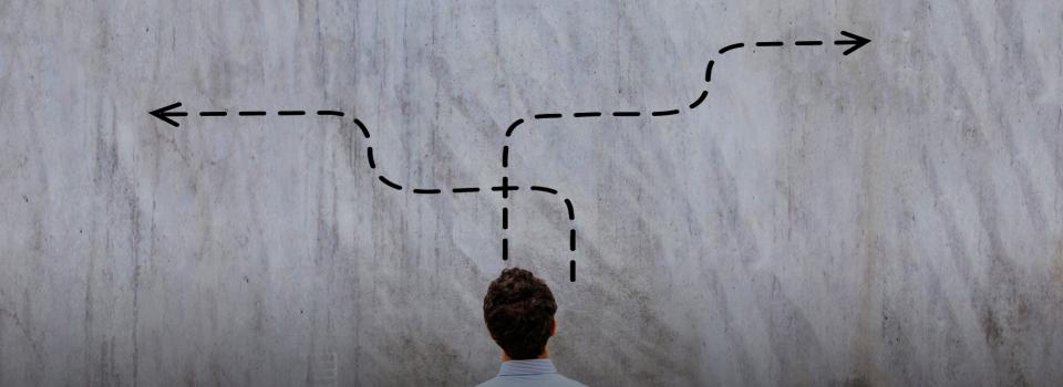 Neural Science Researchers Find Brain Region and Process that Turns Decisions into Actions