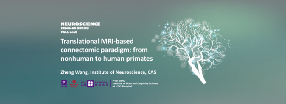 Translational MRI-based connectomic paradigm: from nonhuman to human primates