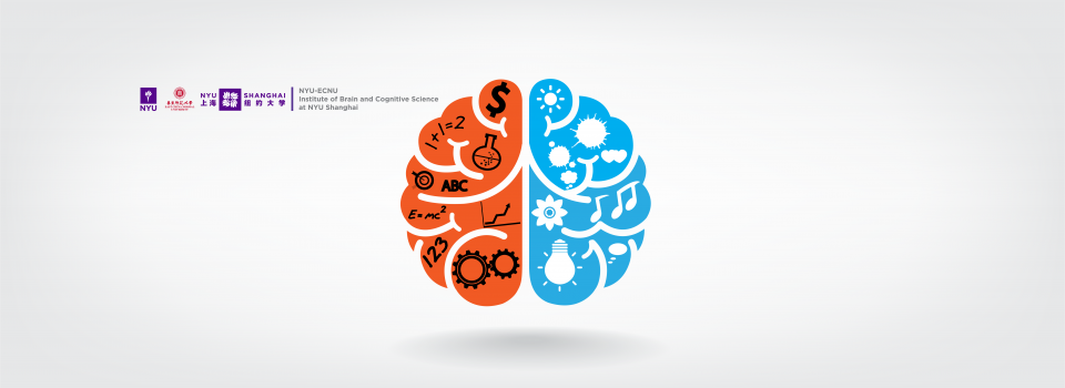 Researchers Pinpoint a Brain Region that Supports Retrospective Success in Monkeys