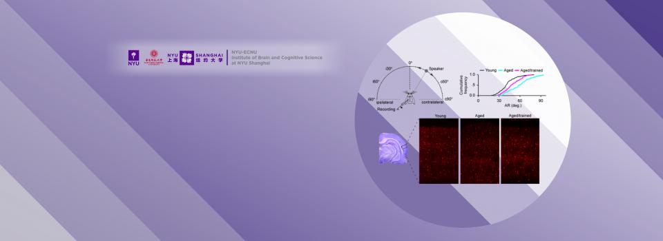 Neuroscience Professor Makes New Revelations in Brain Plasticity Research