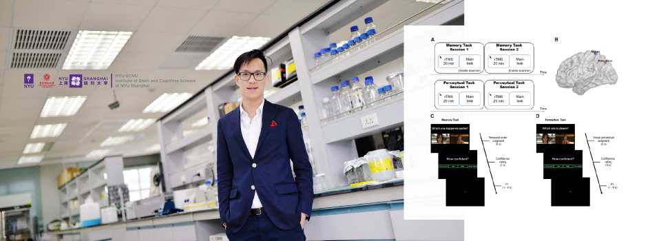 New Study Identifies Neural Hub for Memory Metacognition