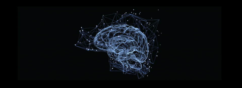 Scientists Outline How Brain Separates Relevant & Irrelevant Information