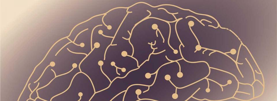 Seminar - Confocal Active Imaging for Visual Prostheses