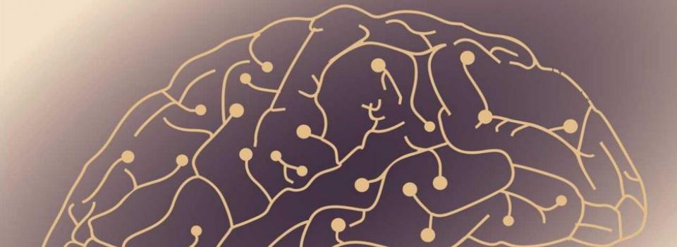 Seminar - Neural Circuit Mechanism of Emotional and Social Behaviors