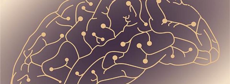 How Input Correlations Shape the Dynamics of Neurons and Networks