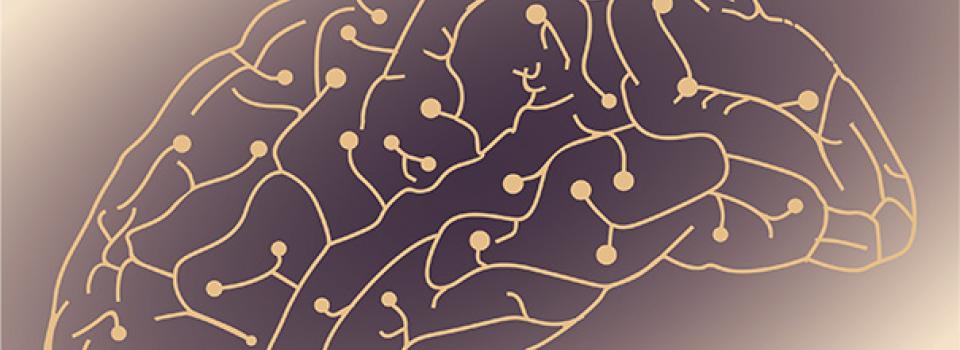 Brain Plasticity-Based Medicine