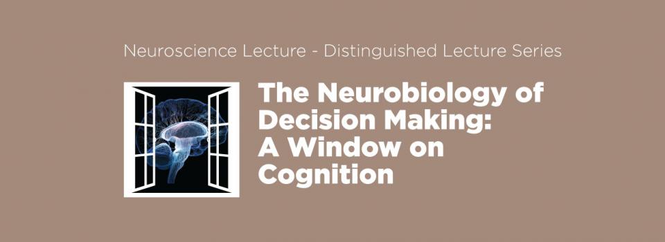 The Neurobiology of Decision Making: A Window on Cognition