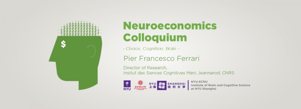 Neurobiology and development of the empathic brain