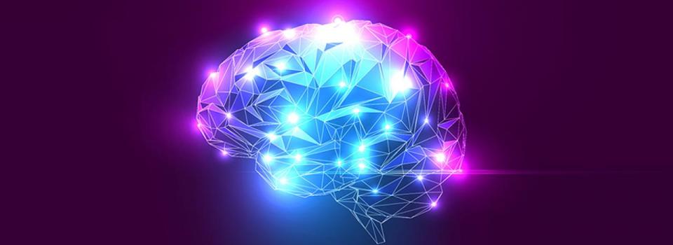 A Large-scale Dynamical Model Reveals Temporal Hierarchy in Primary Cortex