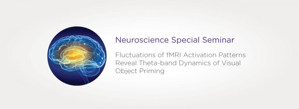 Fluctuations of fMRI Activation Patterns Reveal Theta-band Dynamics of Visual Object Priming