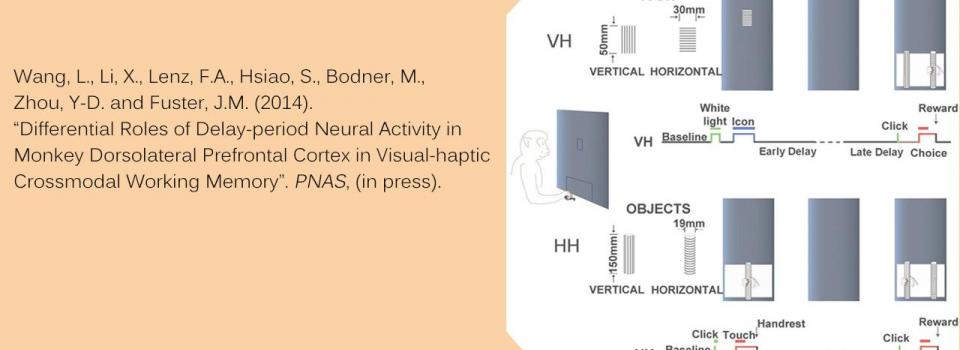 Yongdi Zhou and Liping Wang’s Paper Published on PNAS