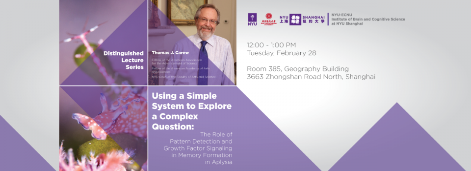 Using a Simple System to Explore a Complex Question