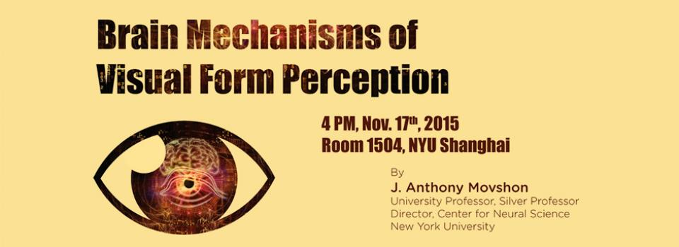 Brain Mechanisms of Visual Form Perception