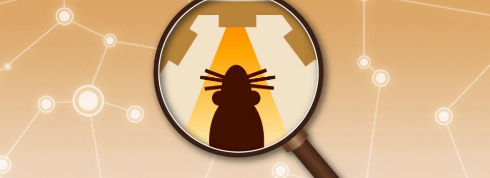 NYU Shanghai Faculty Research: Rapid Executive Control of Behavior in the Rat