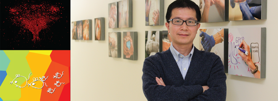 Xiaoming Zhou Discovers Potential Therapeutic Treatment Strategies for Autistic Patients