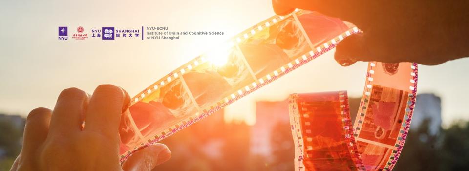 New study finds evidence for memory replay phenomenon in macaque monkeys