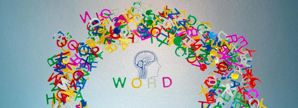 Researchers Revealed the Function of Delta-Band Neural Responses in Speech Comprehension