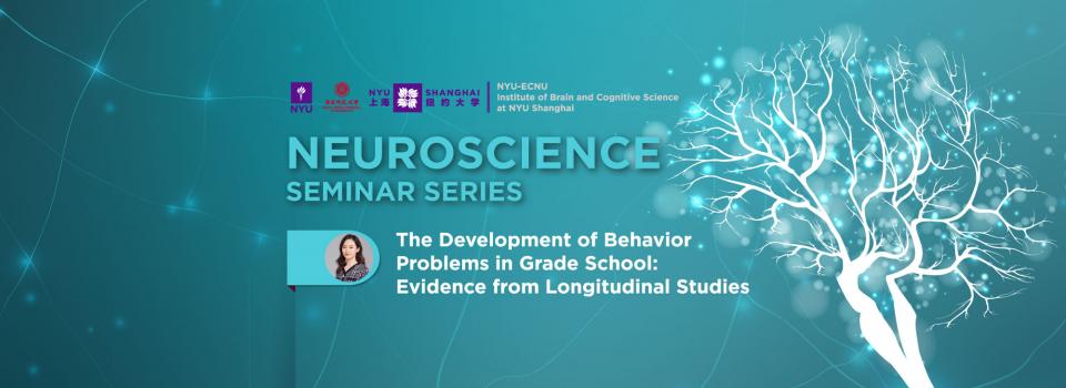 The development of behavior problems in grade school: Evidence from longitudinal studies