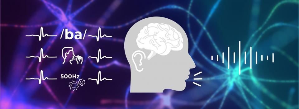 Probing the Corollary Discharge Mechanism: New Insights into Sense of Agency