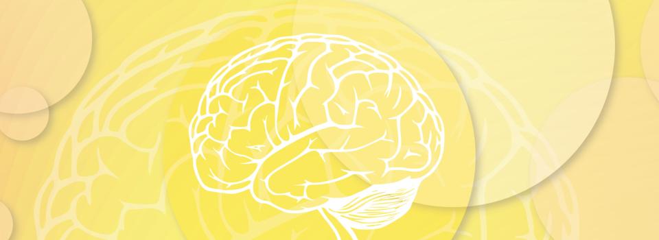 New Research Explores the Essential Role of the Coeruleus Norepinephrine System in Rewarding Attentional Behavior