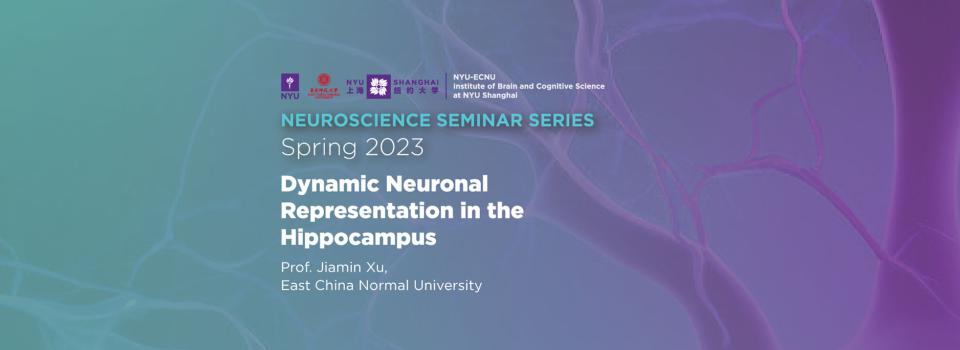 Dynamic neuronal representation in the hippocampus